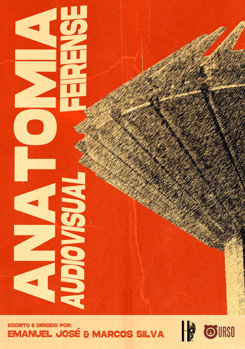 Anatomia Audiovisual Feirense (2024) movie poster