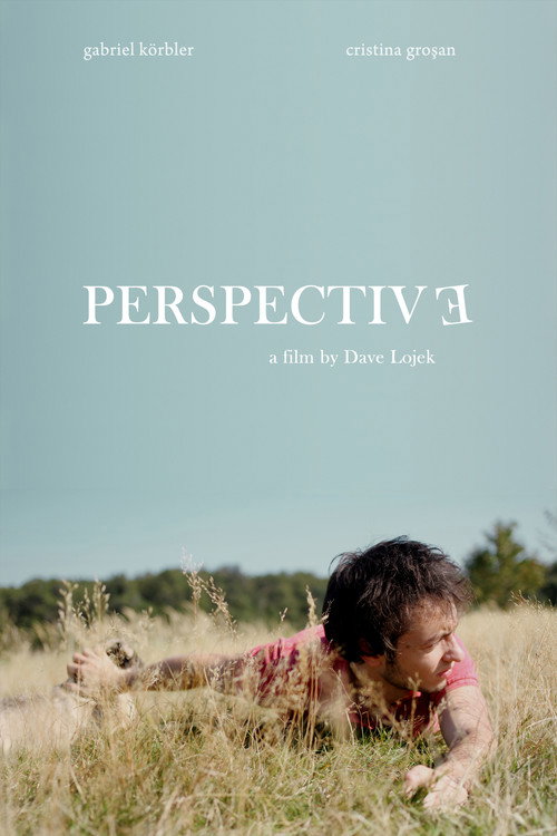Perspective (2010) movie poster