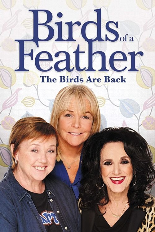 Birds of a Feather (1989) TV show poster