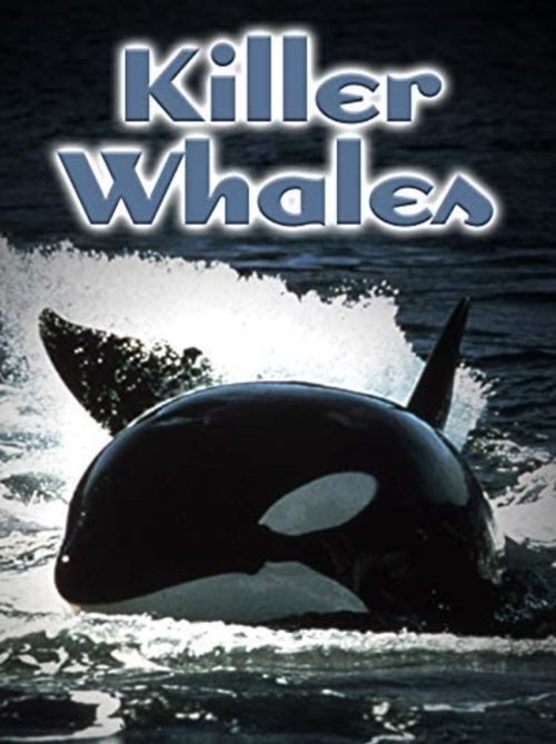 Killer Whales: Up Close and Personal (2000) movie poster