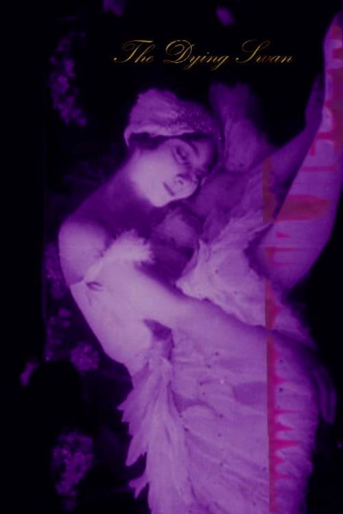 The Dying Swan (1917) movie poster