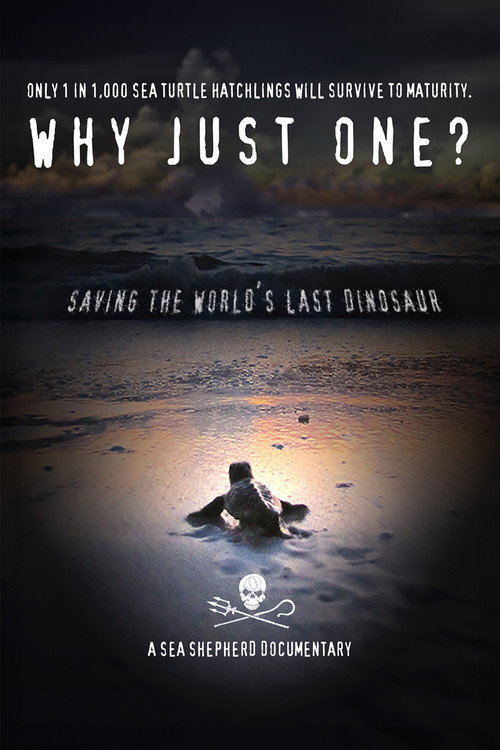 Why Just One? (2016) movie poster