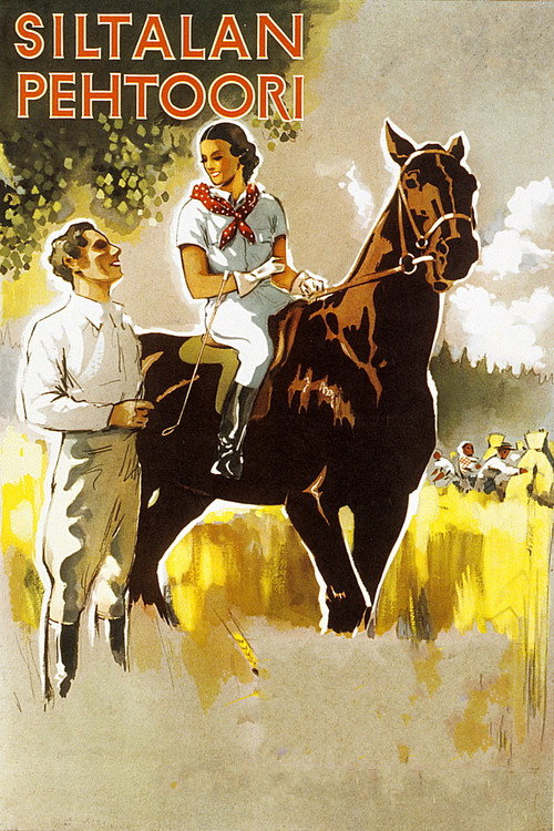 Siltalan pehtoori (1934) movie poster