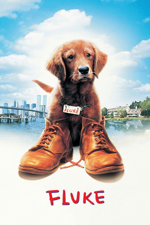 Fluke (1995) movie poster