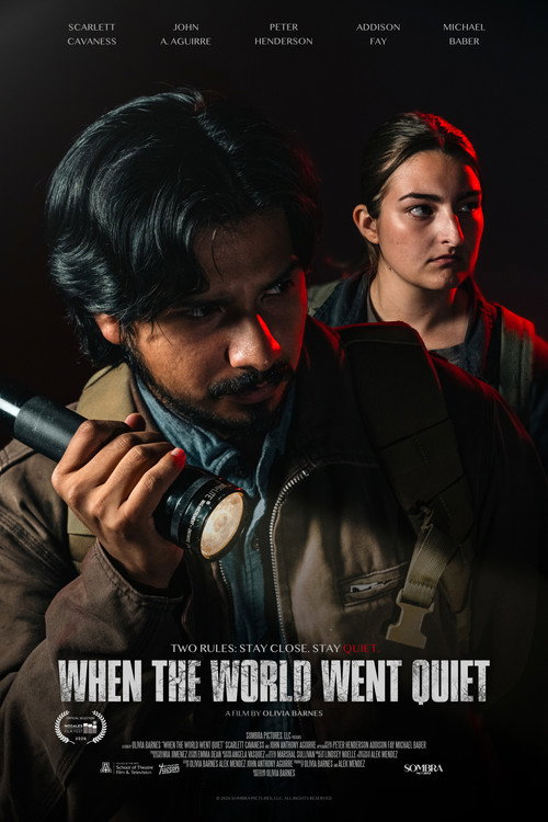 When the World Went Quiet movie poster