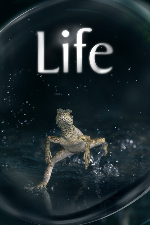 Life (2009) TV show poster