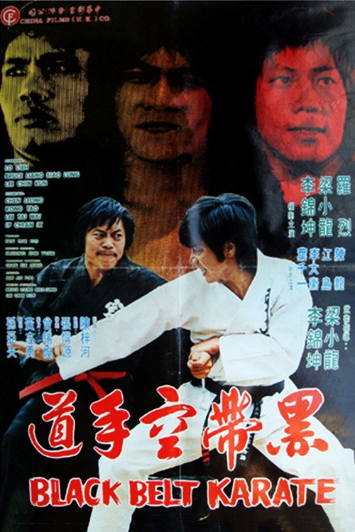 Black Belt Karate (1977) movie poster