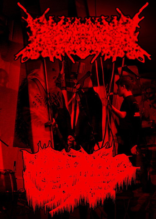 Rhabdomyolysis/Amebiasis Live at The Veil (2023) movie poster