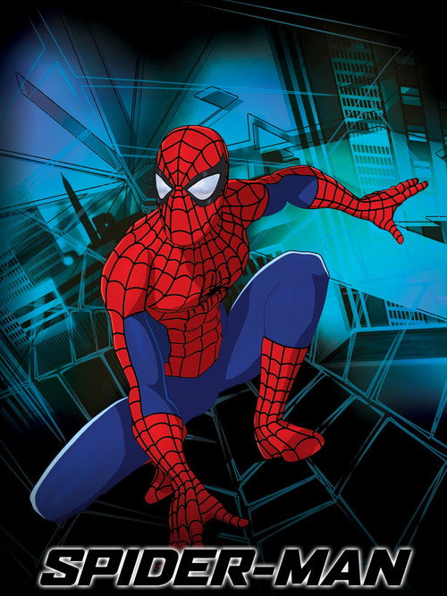 Spider-Man: The New Animated Series (2003) TV show poster