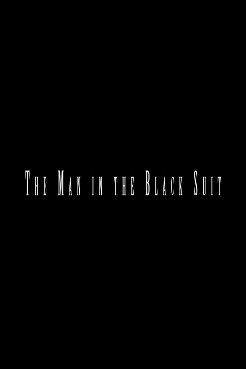 The Man in the Black Suit (2014) movie poster
