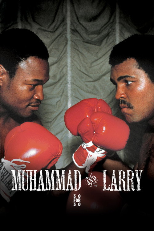 Muhammad and Larry (2009) movie poster
