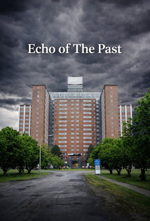 Echo Of The Past: The Terrence Tower (2012) movie poster