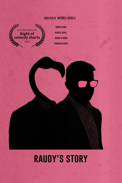 Raudy's Story (2017) movie poster