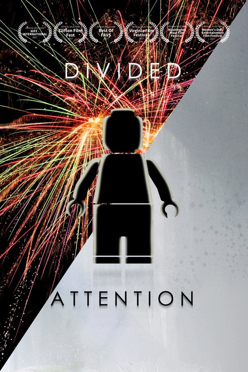 Divided Attention (2016) movie poster