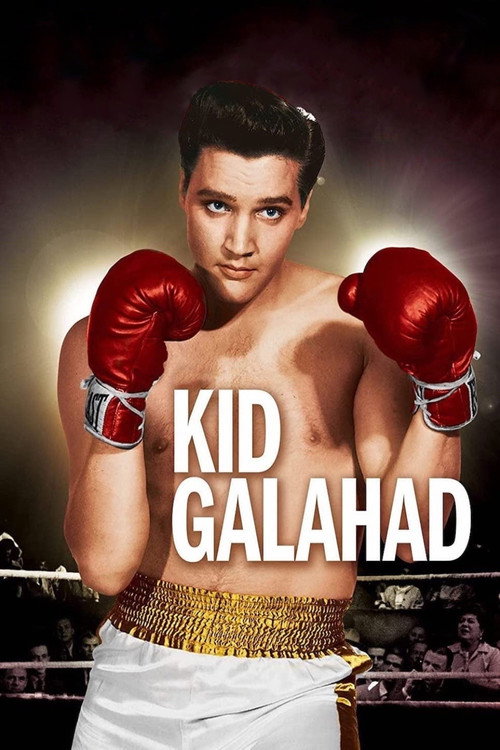 Kid Galahad (1962) movie poster