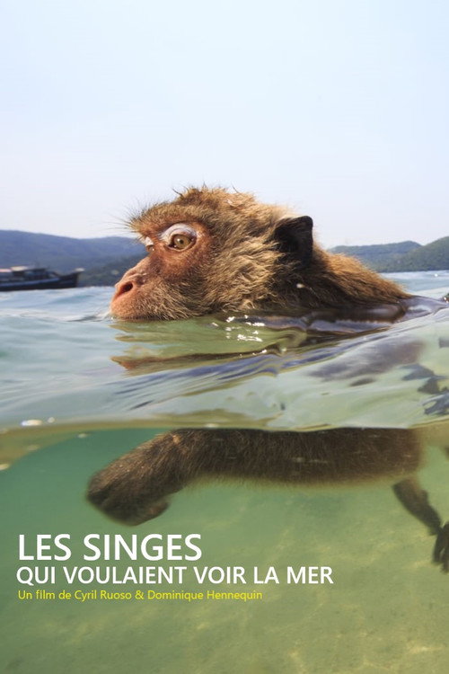 Les singes qui voulaient voir la mer (2020) movie poster