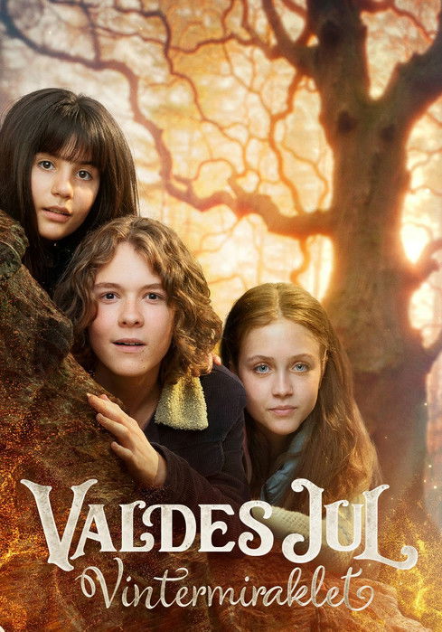 Valdes Christmas -The Winter Miracle (2025) TV show poster