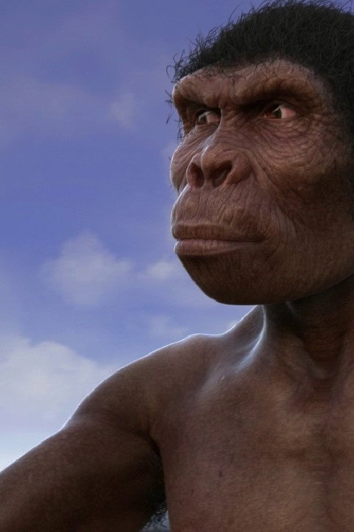 Evolution from ape to man (2017) movie poster