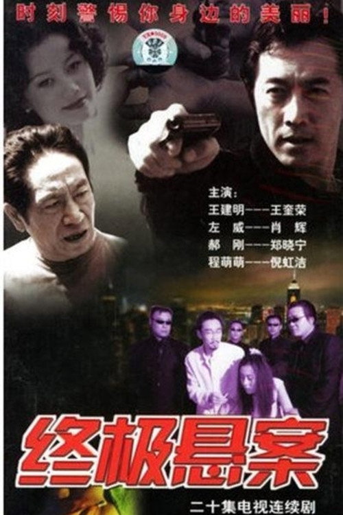 终极悬案 (2003) TV show poster