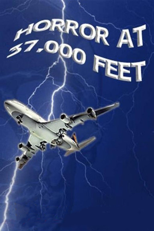 The Horror at 37,000 Feet (1973) movie poster