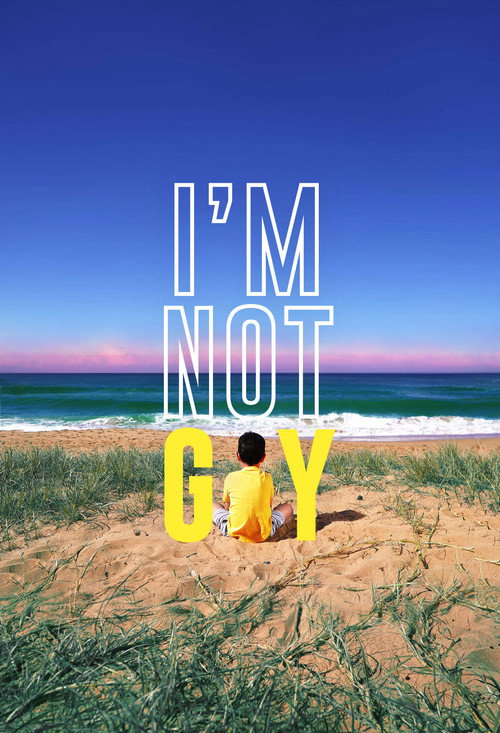 I'm Not Gay (2023) movie poster