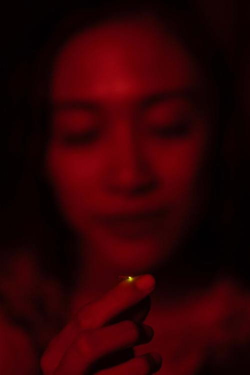 Return of the Fireflies (2025) movie poster