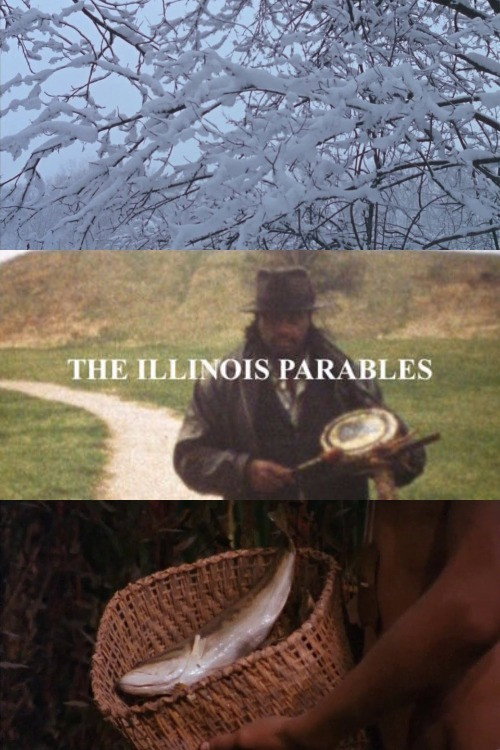 The Illinois Parables (2016) movie poster