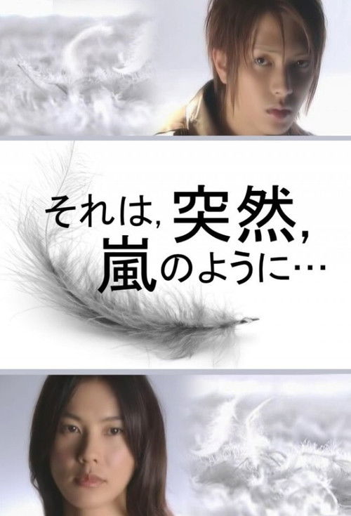 It was sudden, like a storm... (2004) TV show poster