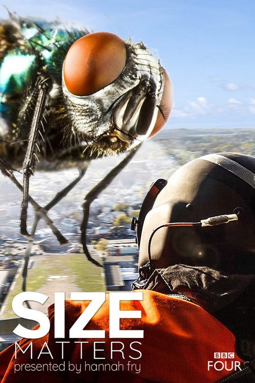 Size Matters (2018) movie poster