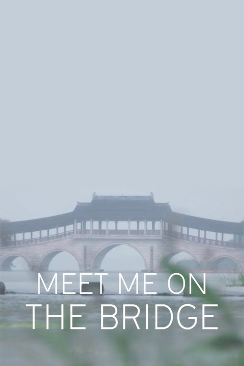 Meet Me On The Bridge (2017) movie poster