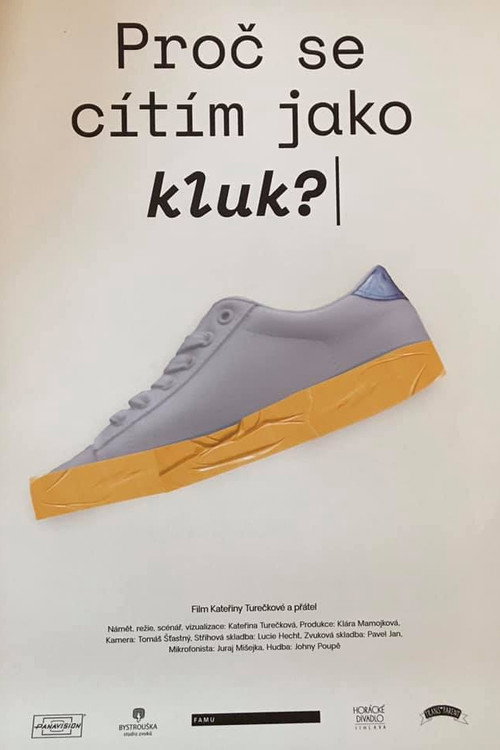 Why Do I Feel like a Boy? (2019) movie poster