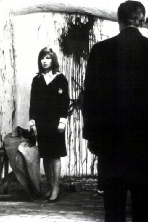 Dear Antonioni (1995) movie poster