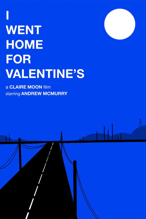 I Went Home For Valentine's (2024) movie poster