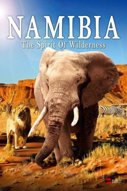 Namibia: The Spirit of Wilderness (2016) movie poster