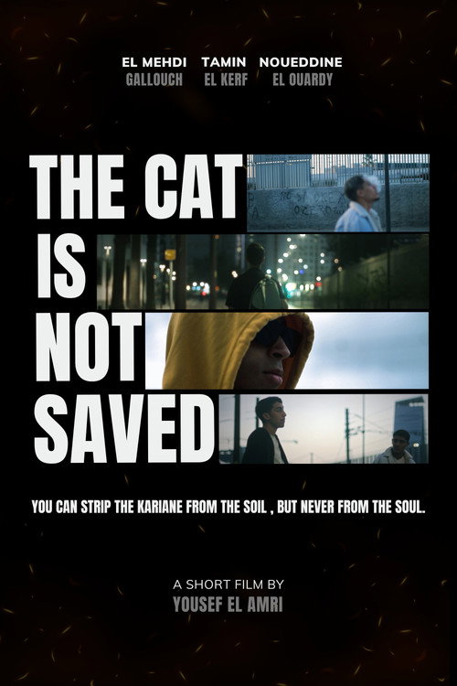 The cat is not saved movie poster