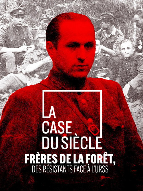 Frères de la forêt, des résistants face à l'URSS (2025) movie poster