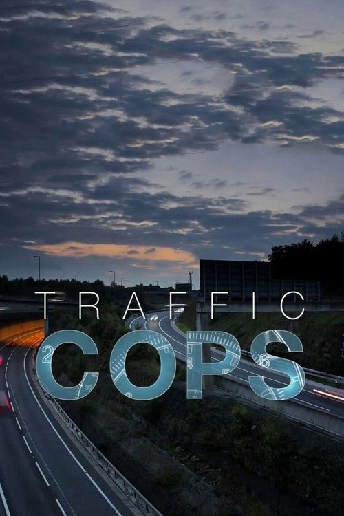 Traffic Cops (2003) TV show poster