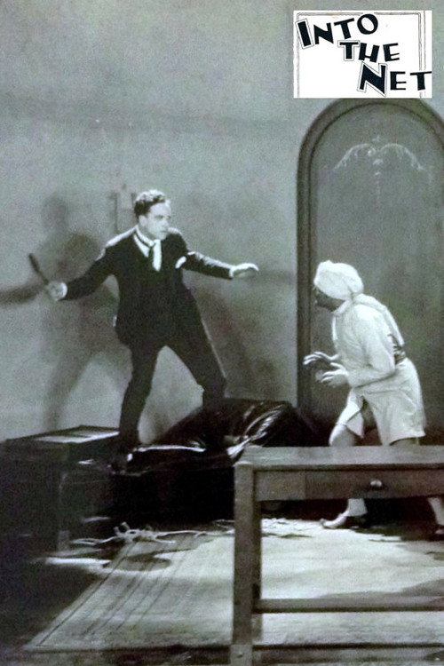 Into the Net (1924) movie poster