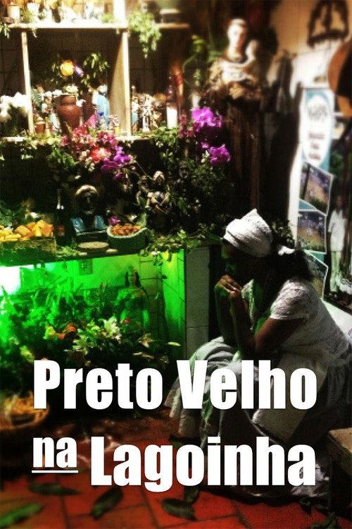 Preto Velho na Lagoinha (2016) movie poster