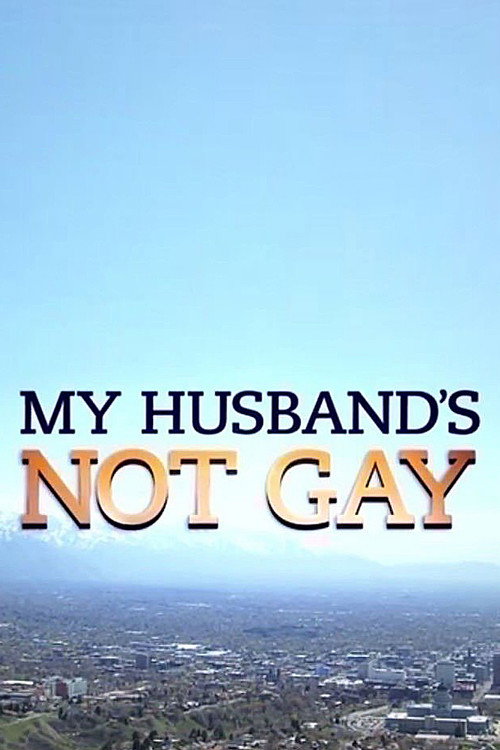 My Husband's Not Gay (2015) movie poster