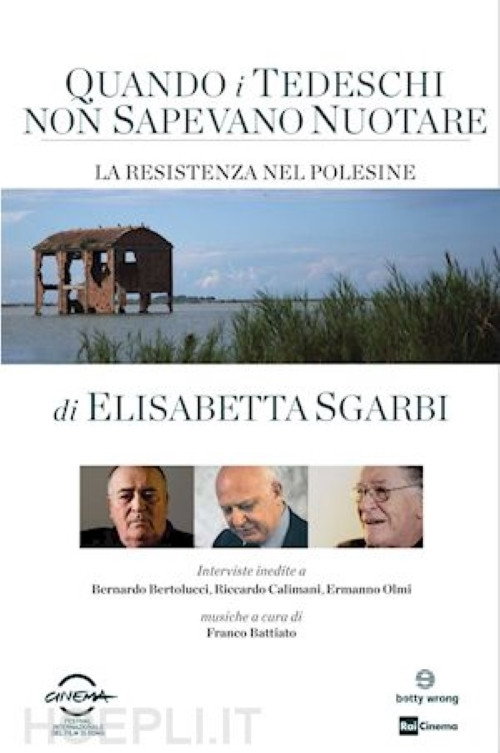 Quando i tedeschi non sapevano nuotare (2013) movie poster