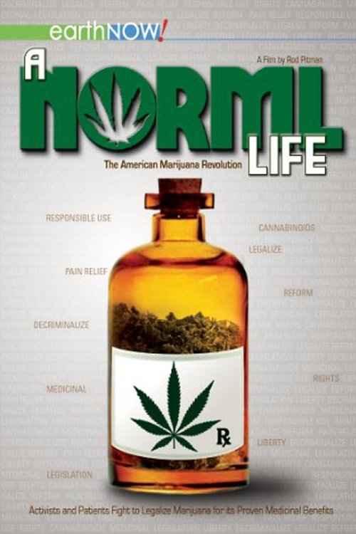 A Norml Life (2011) movie poster