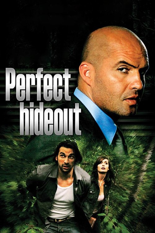 Perfect Hideout (2008) movie poster