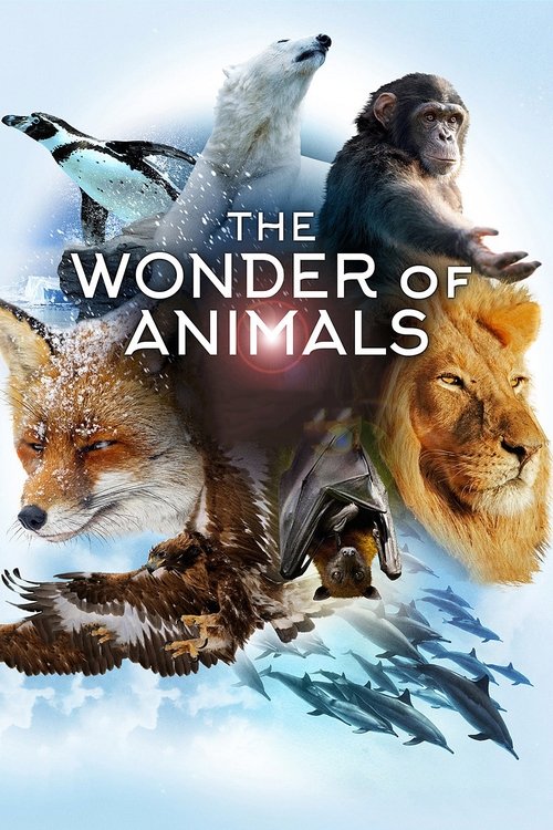 The Wonder of Animals (2014) TV show poster