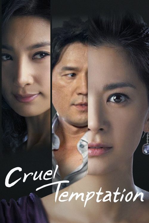 Temptation of Wife (2008) TV show poster