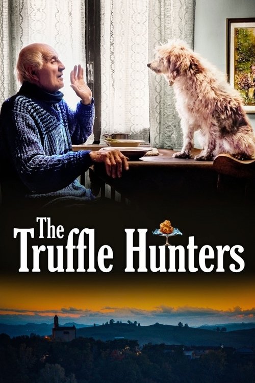 The Truffle Hunters (2020) movie poster