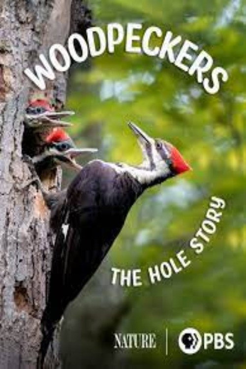 Woodpeckers: The Hole Story (2022) movie poster
