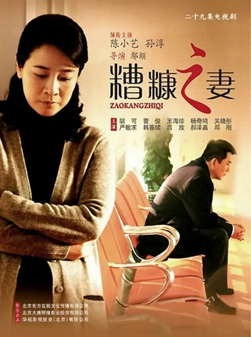 我的糟糠之妻 (2011) TV show poster