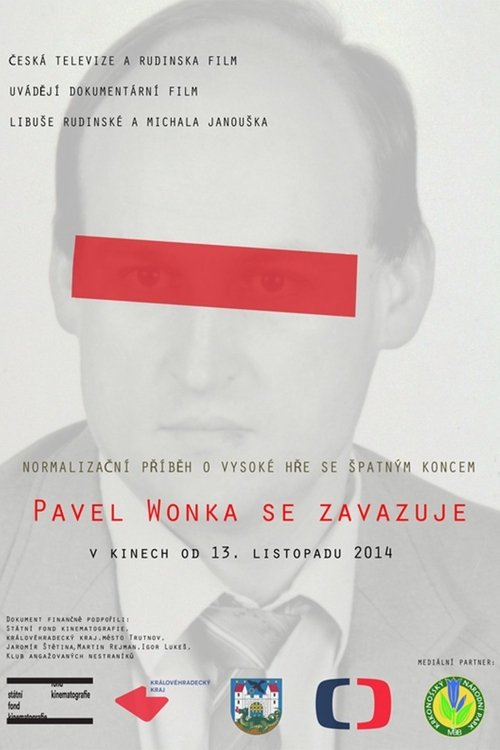 Pavel Wonka Commits to Cooperate (2014) movie poster