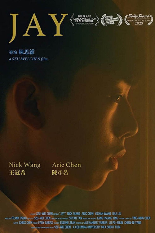 Jay (2019) movie poster